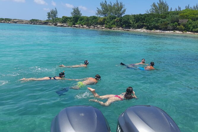 Nassau, Private Swimming Pig, Island Hopping, Snorkeling, Turtles - Who will enjoy this Nassau excursion most
