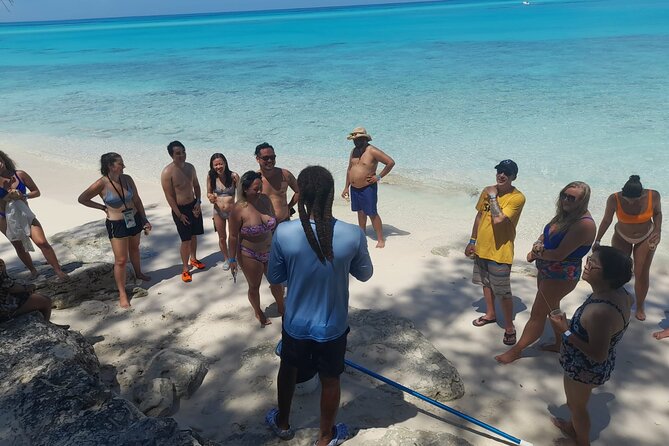 Nassau, Private Swimming Pig, Island Hopping, Snorkeling, Turtles - Timing, weather, and small practical choices