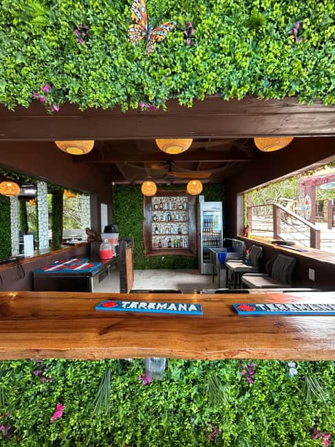 Nassau: Reef Snorkeling, Turtles, Lunch & Private Beach Club - A fast island sampler for a four-hour window