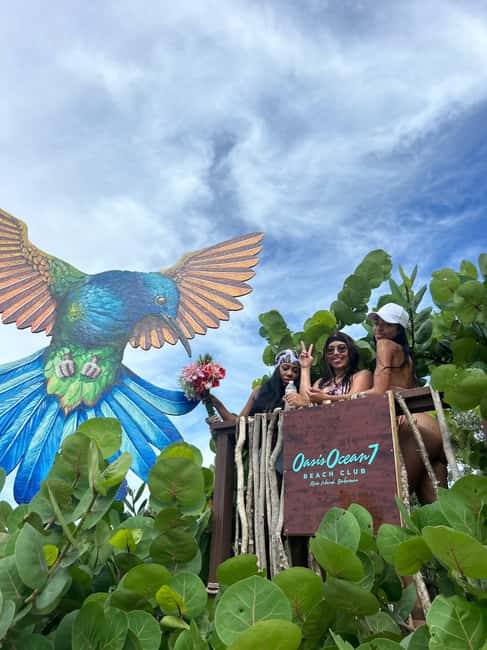 Nassau: Reef Snorkeling, Turtles, Lunch & Private Beach Club - Da Nest, the aviary, and Rose Island photo stops