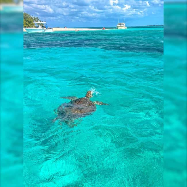 Nassau: Rose 3-Island Tour with Snorkeling and Lunch - Rose Island gives you the breathing room