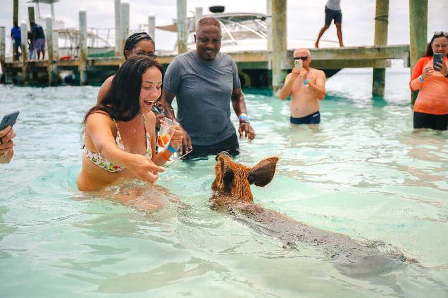 Nassau: Rose Island's Sand Dollar Beach Resort - Key points before you book