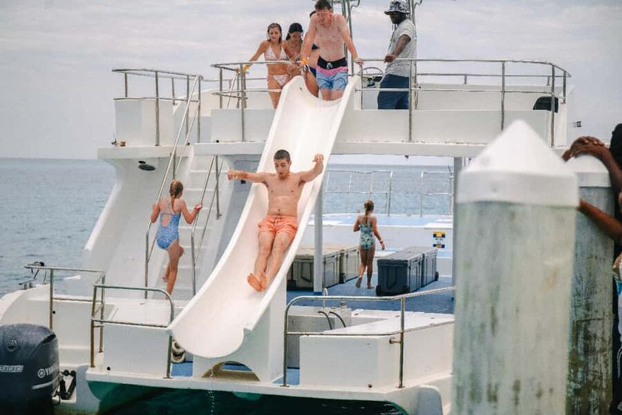 Nassau: Rose Island's Sand Dollar Beach Resort - Meeting the swimming pigs