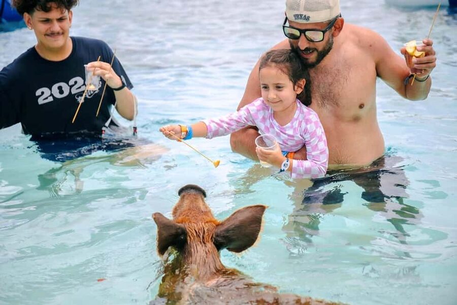 Nassau: Rose Island Swimming Pigs and Beach Day Group Tour - Key points before you book
