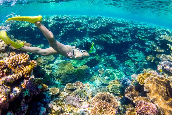 Nassau Sail & Snorkel Adventure with 1 Hour Open Bar - Leaving Paradise Island for Athol Island