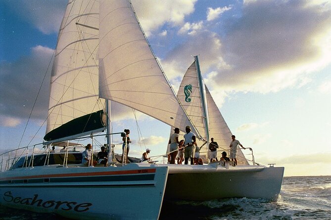 Nassau Sail & Snorkel Adventure with 1 Hour Open Bar - The return ride and one-hour open bar
