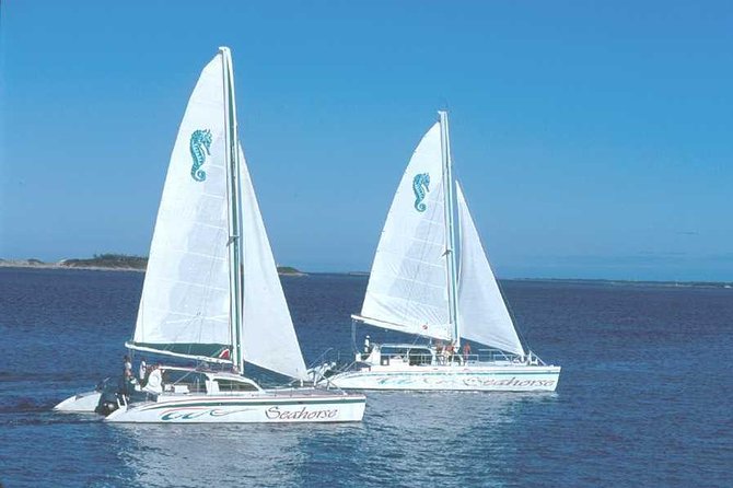 Nassau Sail & Snorkel Adventure with 1 Hour Open Bar - Who should book this Nassau excursion?