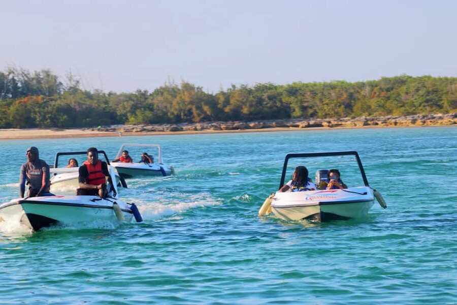 Nassau: Self-Drive Speedboat Ride and Pig Swimming Encounter - Timing, transport, and cruise-day planning