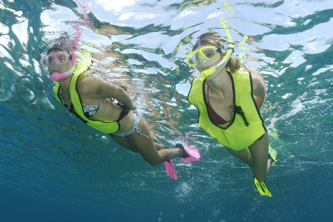 Nassau Shore Excursion: Bahamas Snorkel Adventure - What happens at the marina and on the boat