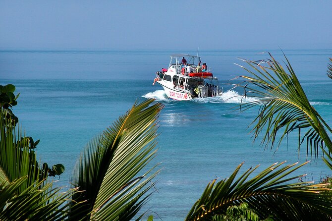 Nassau Shore Excursion: Bahamas Snorkel Adventure - The first reef stop and what you may see