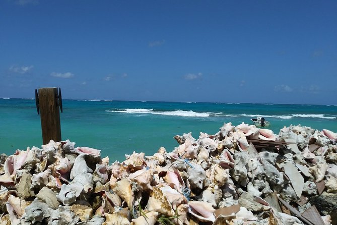 Nassau Shore Excursion: Sightseeing and Snorkeling Tour - What the guides add to the experience
