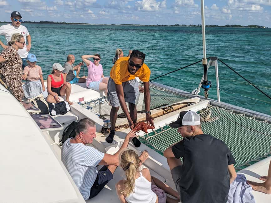 Nassau: Snorkeling, Pig Beach, Swim with Turtles, and Lunch - Why this Nassau catamaran trip works so well
