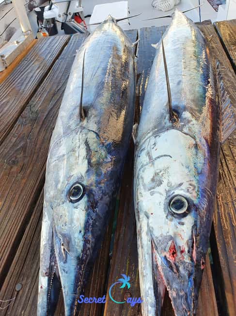 Nassau: Sport-fishing private charter . - Practical details that can save trouble