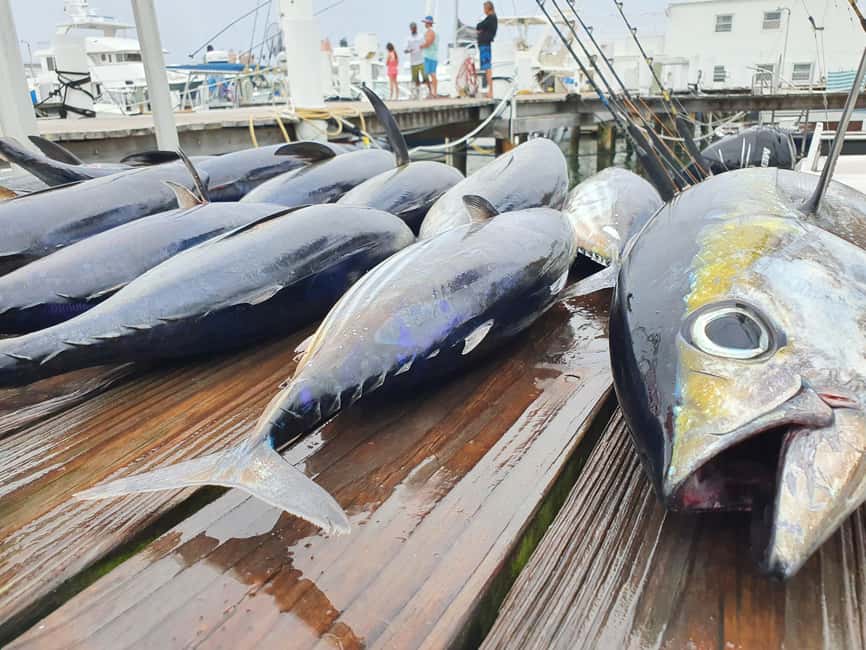 Nassau: Sport-fishing private charter . - What the four-hour outing can feel like