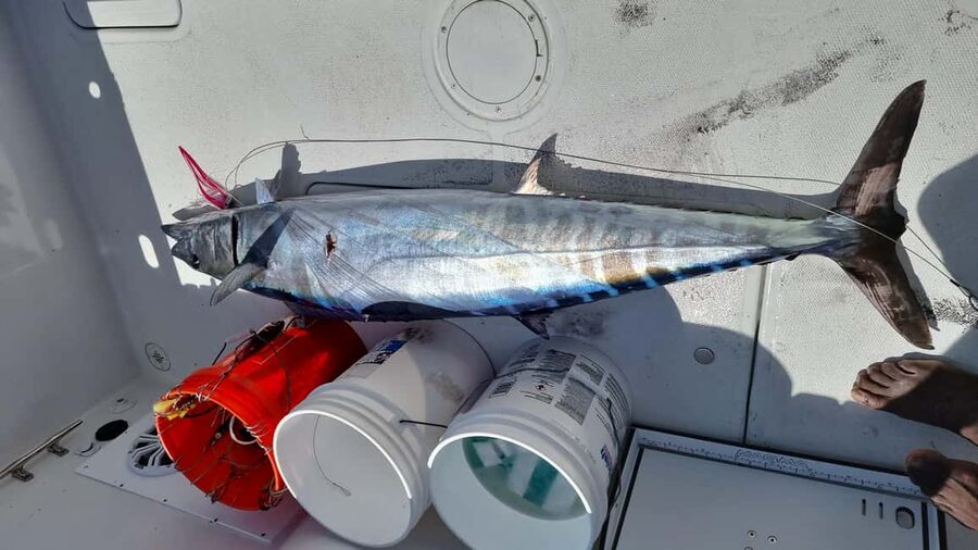 Nassau: Sport-fishing private charter . - Who should book Secret Cays