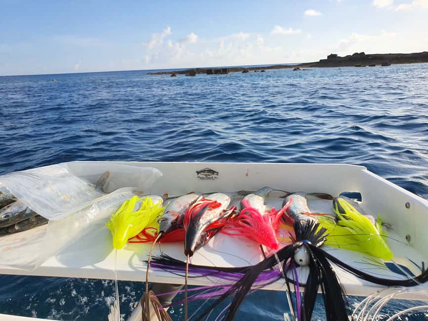 Nassau: Sport-fishing private charter . - Choosing between offshore, inshore, and bottom fishing