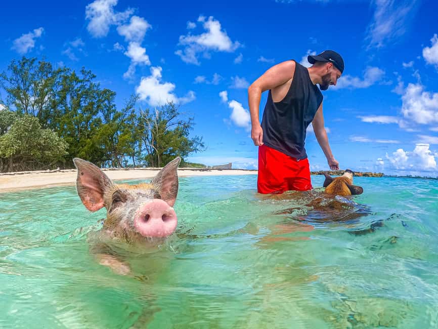 Nassau: Sun Cay and Swimming Pigs Boat Trip with Lunch - The short ride to Pig Beach