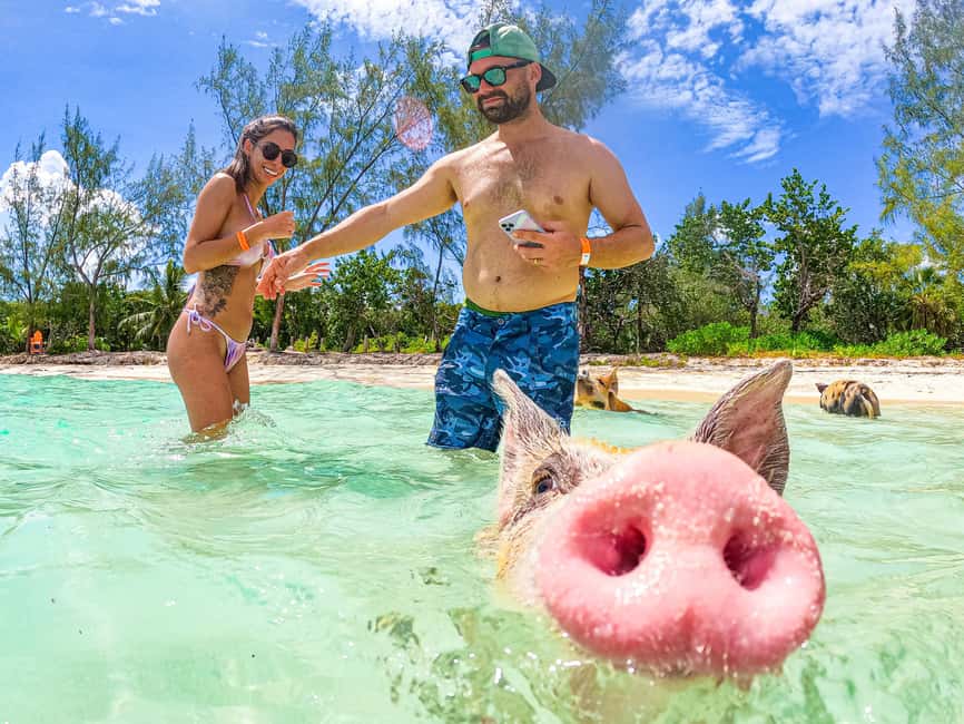 Nassau: Sun Cay and Swimming Pigs Boat Trip with Lunch - What lunch includes, and how to avoid a mix-up