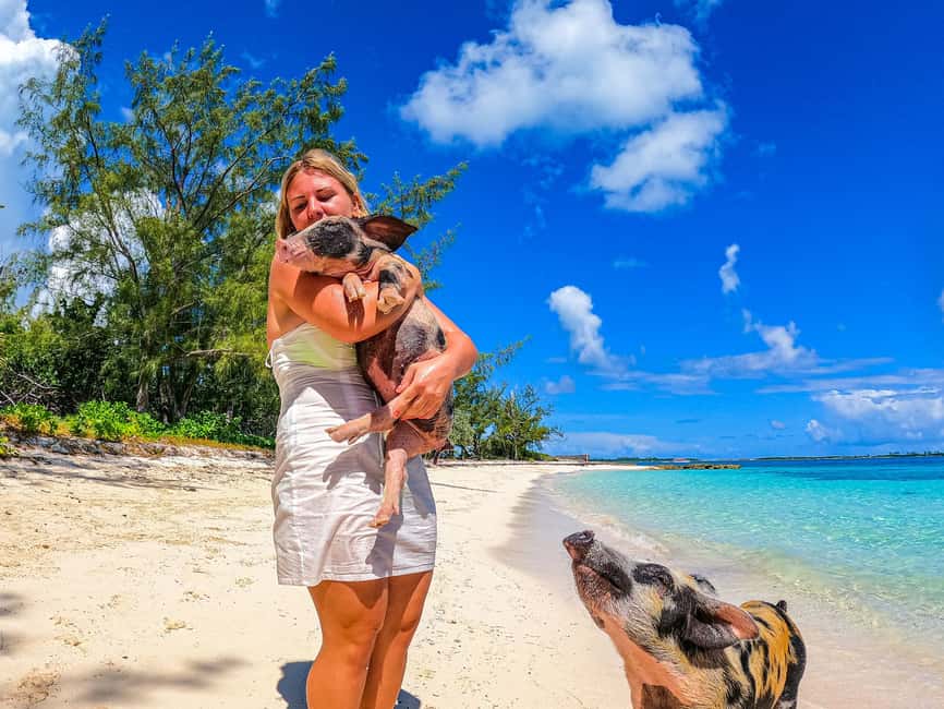 Nassau: Sun Cay and Swimming Pigs Boat Trip with Lunch - Who will enjoy this boat trip most