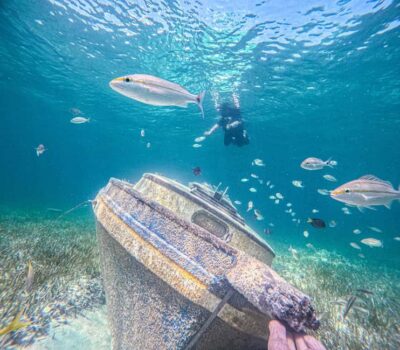 Sun Cay Day Trip, Snorkel, Iguana Encounter, & Lunch