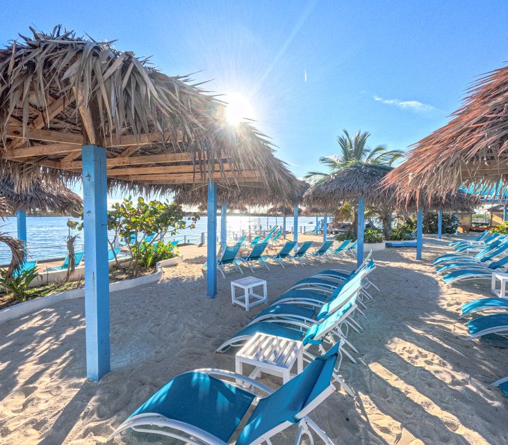 Nassau: Sun Cay Day Trip, Snorkel, Iguana Encounter, & Lunch - Lunch gives the $99 package real value