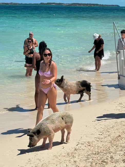 Nassau: Swimming Pigs and Turtles Boat Tour with Snorkeling - Pearl Island for coral reef snorkeling
