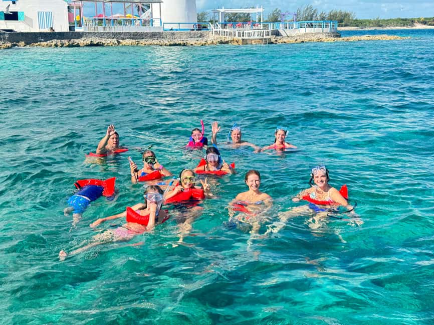 Nassau: Swimming Pigs and Turtles Boat Tour with Snorkeling - Green Cay and the sea turtle encounter