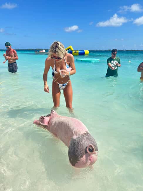 Nassau: Swimming Pigs and Turtles Boat Tour with Snorkeling - What the private format is worth