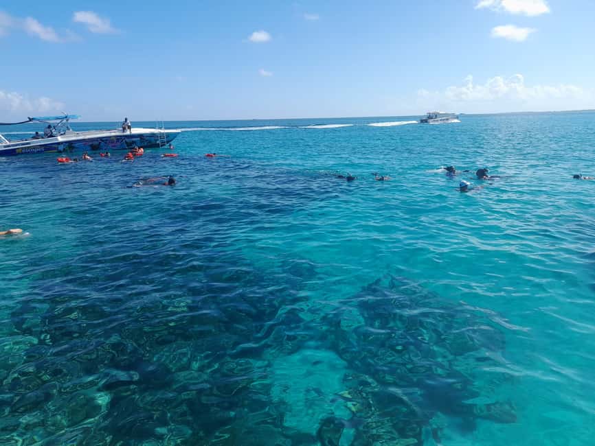 Nassau: Swimming Pigs Private Boat Tour - Up to 7 Persons - A private start at Elizabeth on Bay