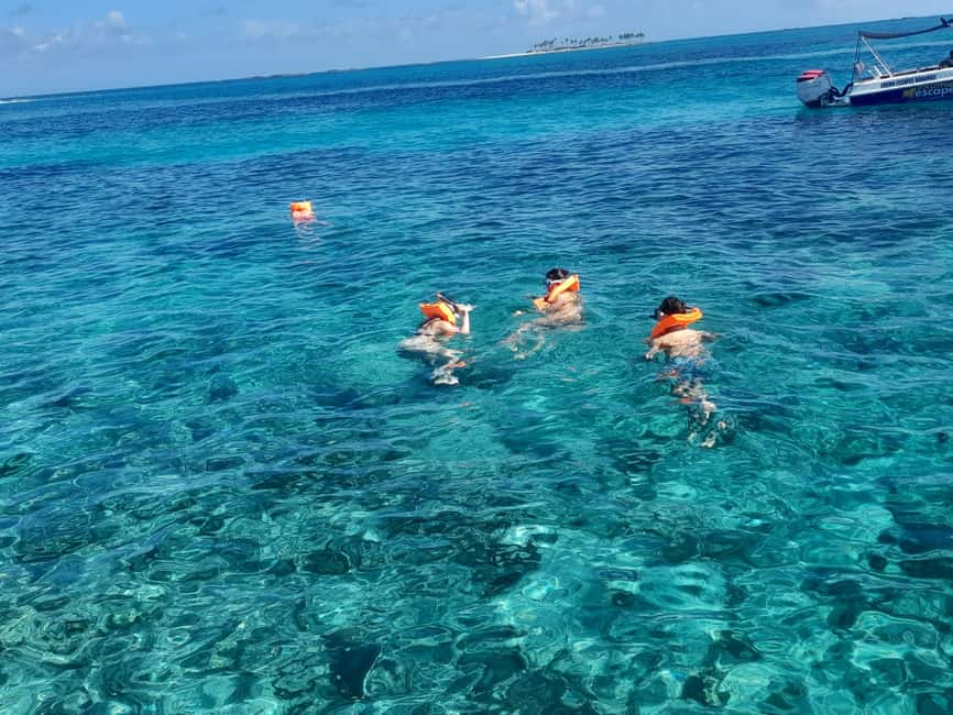Nassau: Swimming Pigs Private Boat Tour - Up to 7 Persons - Pig Beach without a full-size crowd