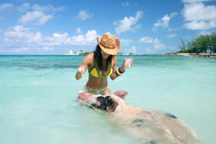 Nassau: Swimming Pigs, Snorkeling, Lunch, & Beach Boat Tour - A private beach with plenty to do