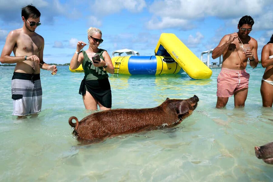 Nassau: Swimming Pigs, Snorkeling, Lunch, & Beach Boat Tour - Meeting the pigs near Athol Island