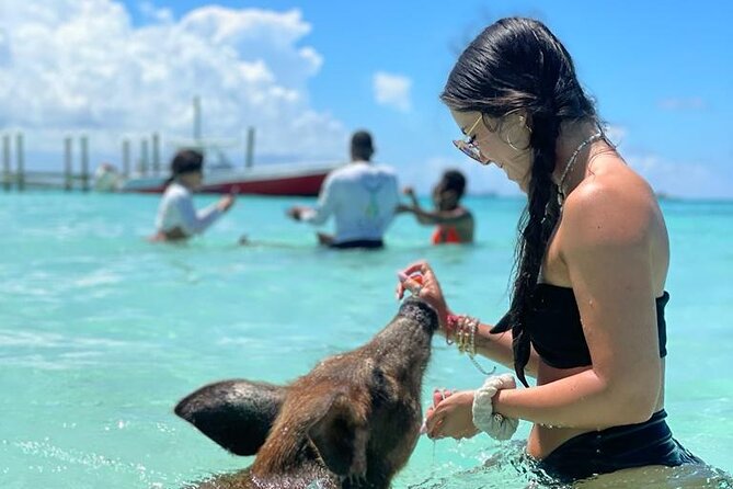 Nassau Swimming Pigs: Snorkeling, Lunch & Private Beach Club - Is $140 a Good Value?