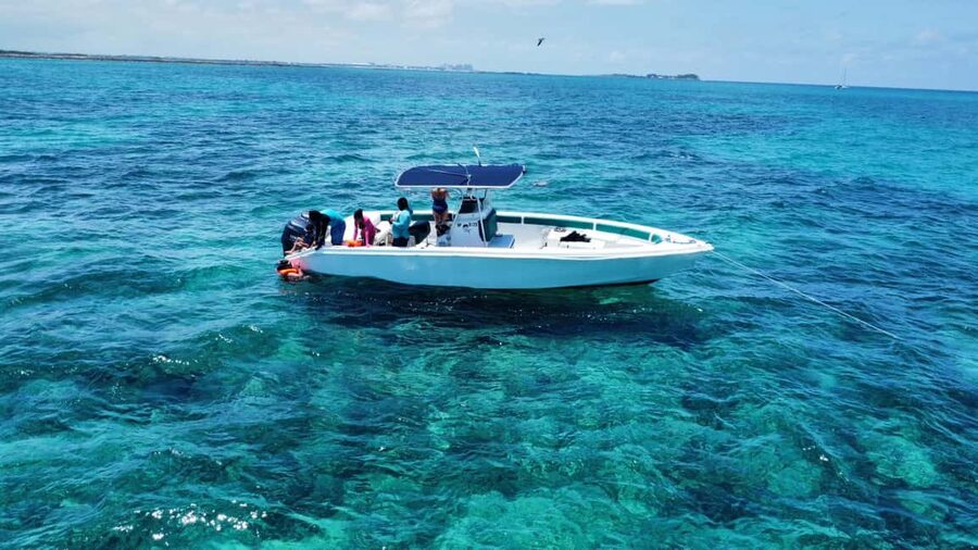 Nassau: Swimming with Pigs, Snorkeling, and Sightseeing Tour - Captain Chris and the personal touch
