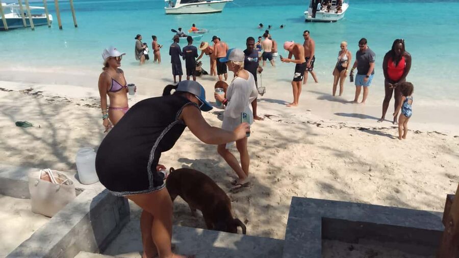 Nassau: Swimming with Pigs, Snorkeling, and Sightseeing Tour - Leaving Bayshore Marina for Paradise Island views