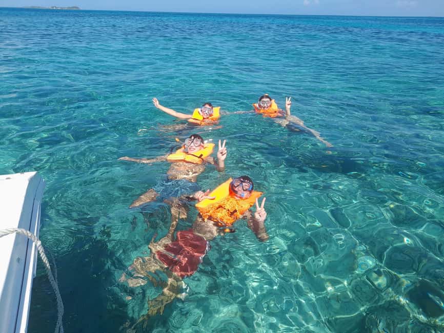 Nassau: Swimming with Pigs, Snorkeling, and Sightseeing Tour - Pig Island and the optional pig swim