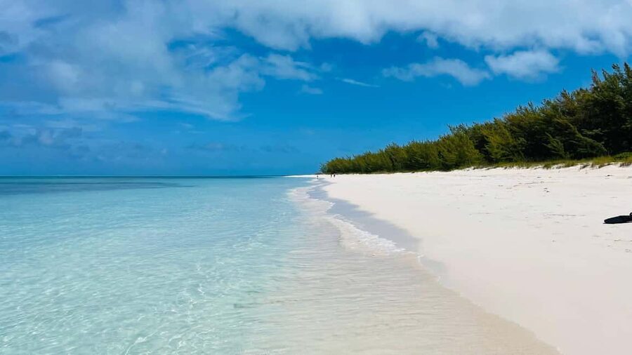 Nassau: Swimming with Pigs, Snorkeling, and Sightseeing Tour - Price and what you receive for $150
