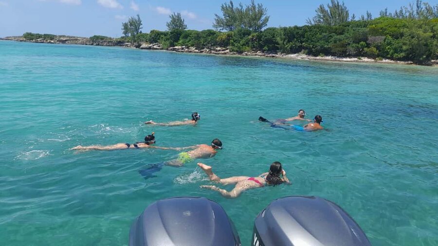 Nassau: Swimming with Pigs, Snorkeling, and Sightseeing Tour - Weather, comfort, and suitability