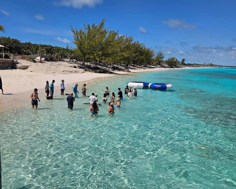 Paradise Found In Hog Haven: Ultimate Beach Escape - Rose Island and the appeal of swimming pigs
