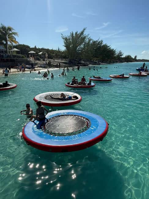 Paradise Found In Hog Haven: Ultimate Beach Escape - Three hours on the island