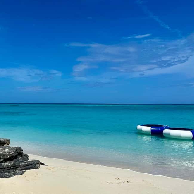 Paradise Found In Hog Haven: Ultimate Beach Escape - What the beach is really like