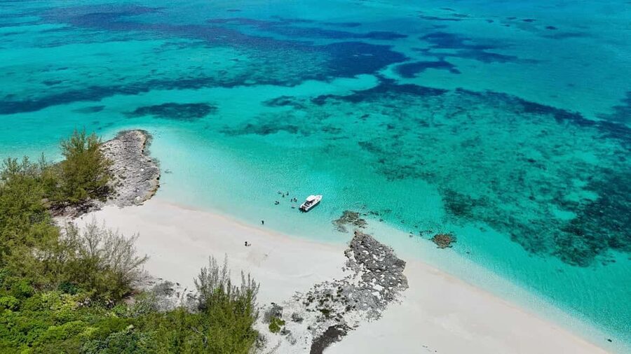 Paradise Found In Hog Haven: Ultimate Beach Escape - Is $69 a fair price?