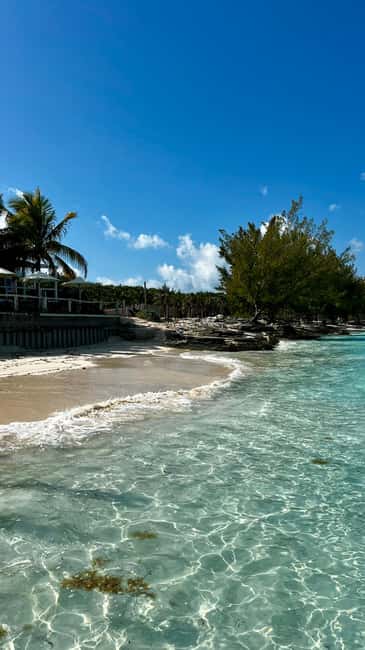 Paradise Found In Hog Haven: Ultimate Beach Escape - What to bring for a smoother day