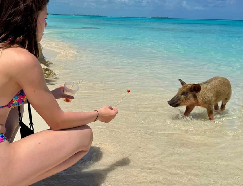 Paradise Found In Hog Haven: Ultimate Beach Escape - Timing and the mixed track record