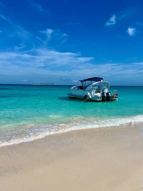 Paradise Island: Glass-Bottom Boat Tour with Live Commentary - The glass bottom and what you might see