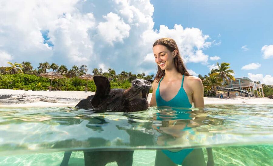 Paradise Island: Rose Island Tour with Swimming Pigs & Lunch - Key points to know before you book