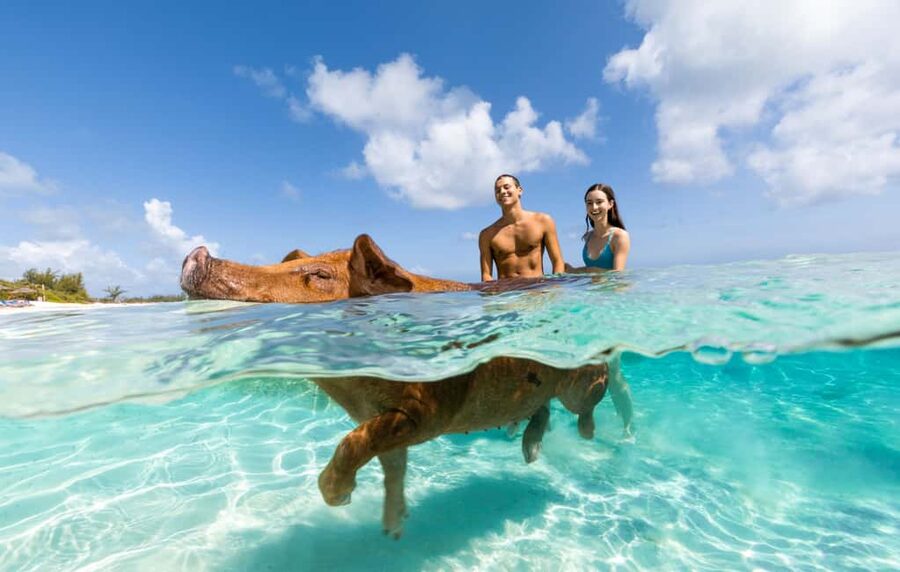 Paradise Island: Rose Island Tour with Swimming Pigs & Lunch - From Paradise Island to Rose Island by boat