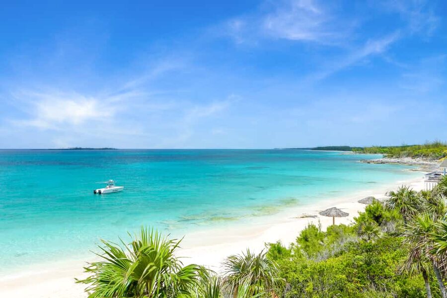Paradise Island: Rose Island Tour with Swimming Pigs & Lunch - Snorkeling for beginners and curious swimmers