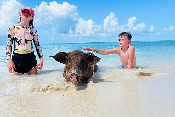 Perfect Day Swimming Pigs, Turtles, Reef Snorkel & Lunch - Key things to know before you book