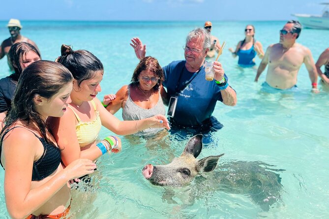 Perfect Day Swimming Pigs, Turtles, Reef Snorkel & Lunch - Rose Island and the private beach club